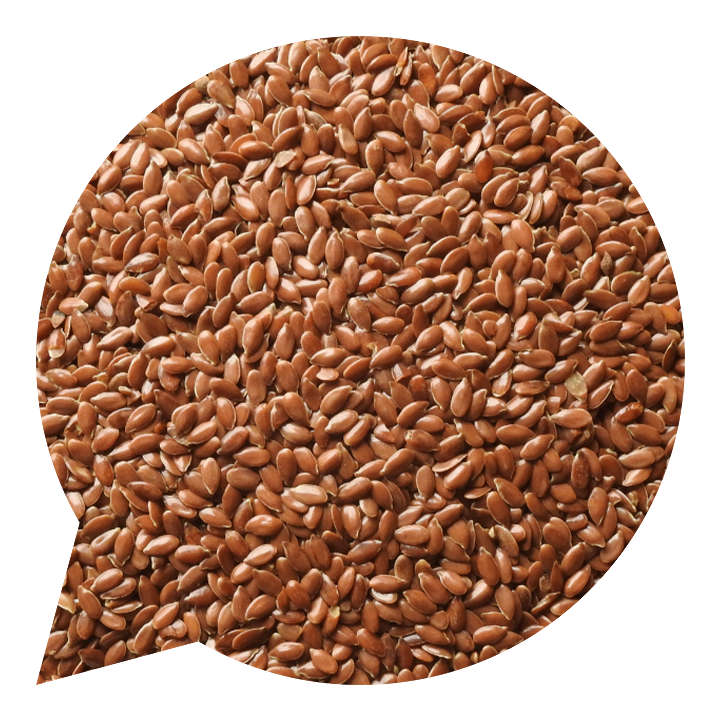 820200 Semínka lněná česká BIO-1