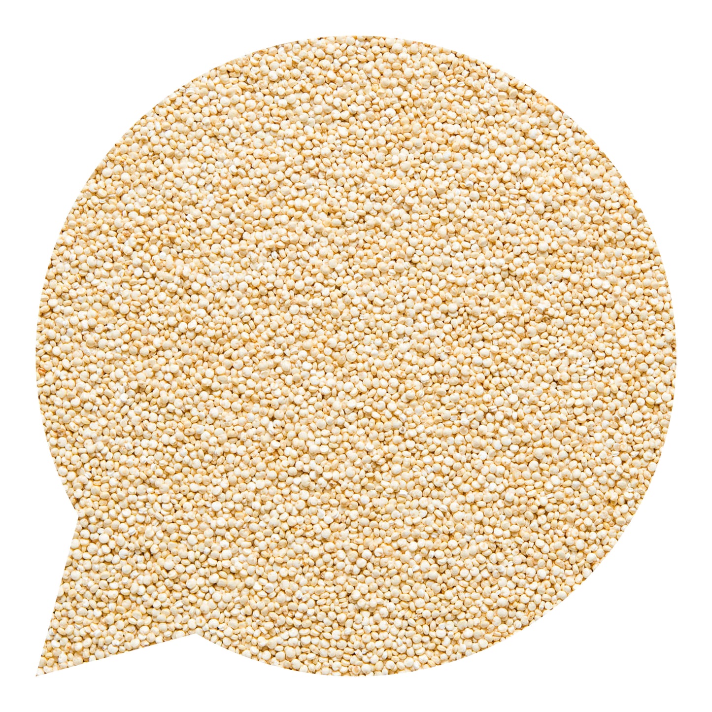 113027 Quinoa-2