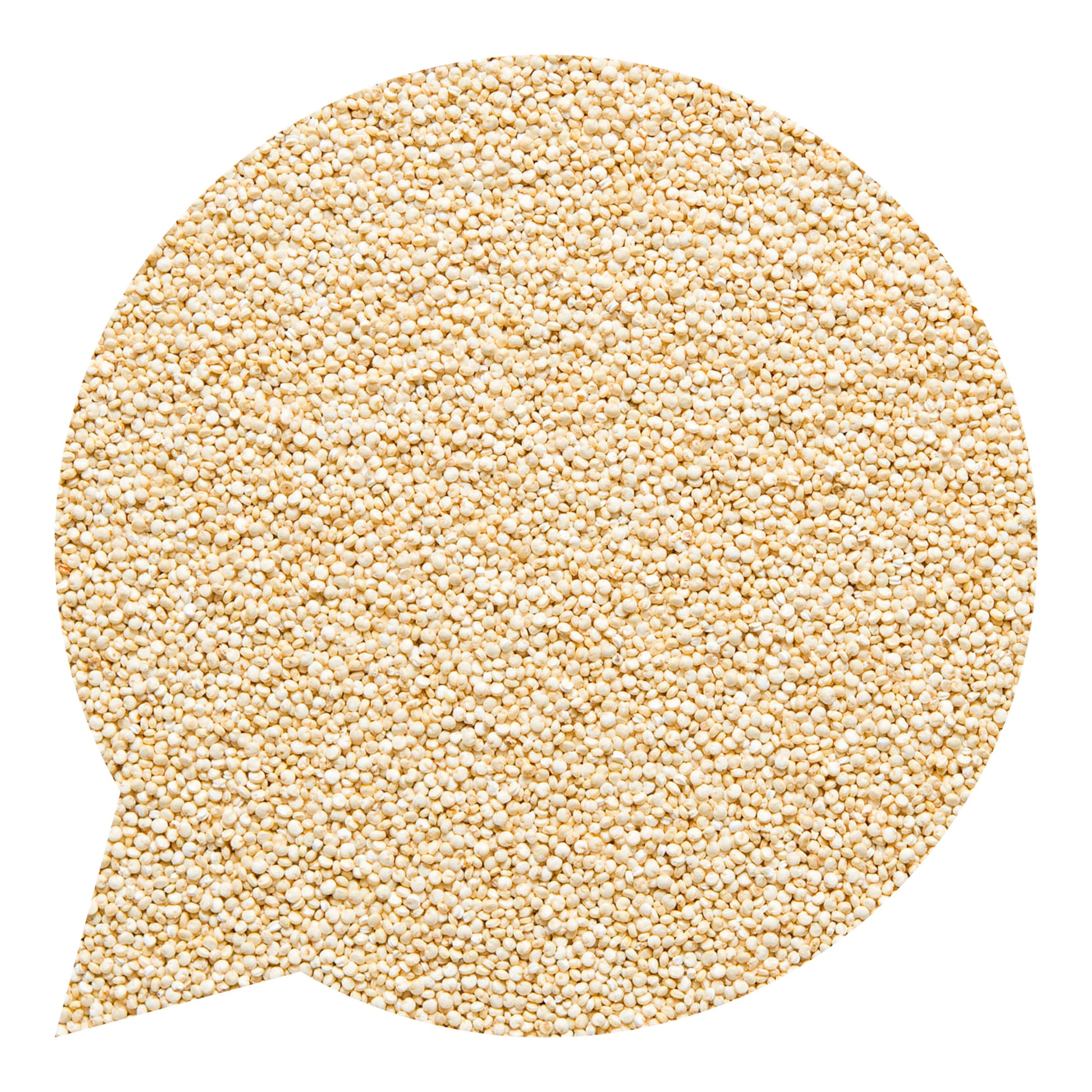 113027 Quinoa-2