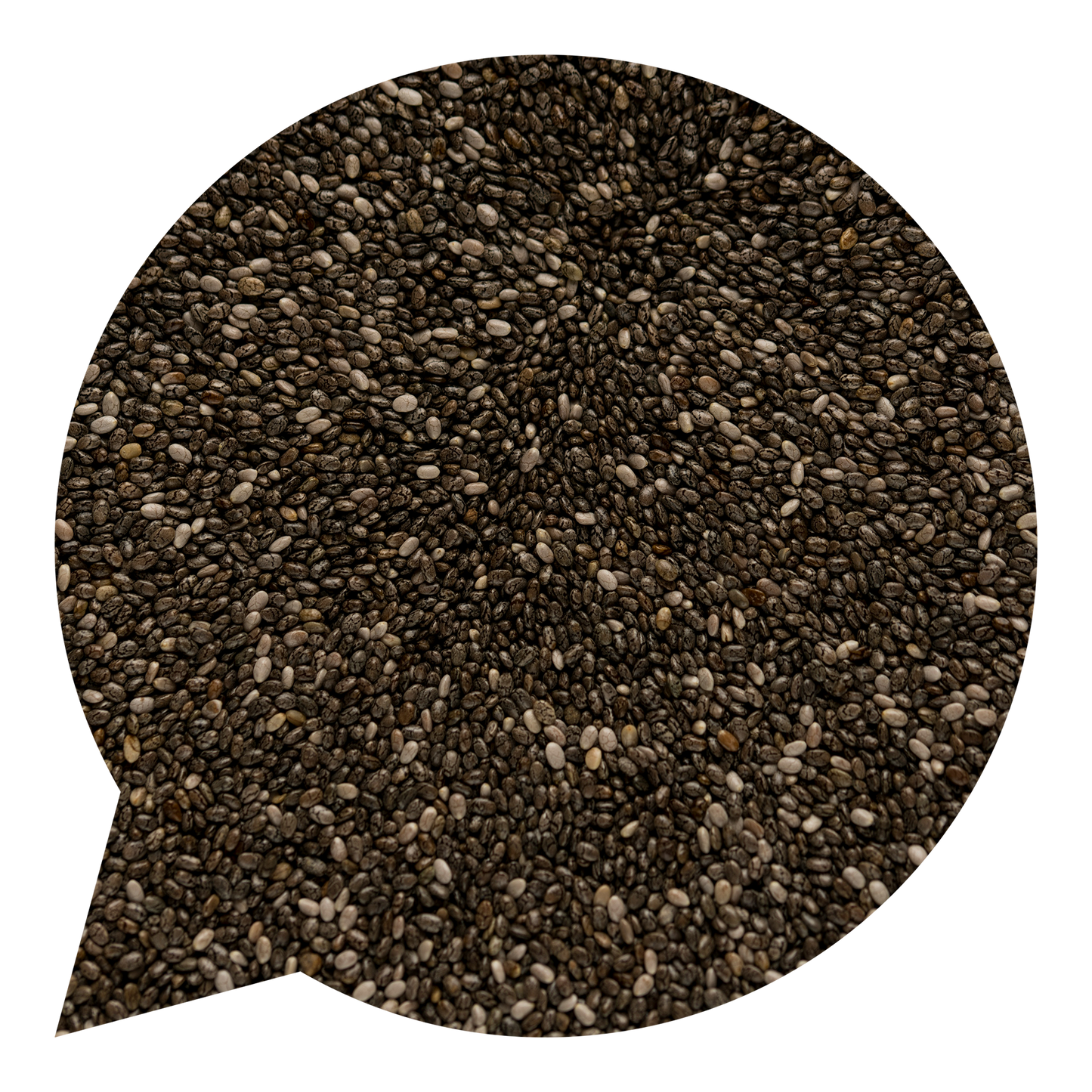 130043 Chia semínka BIO-1