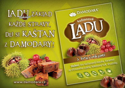 DAMODARA Ladu gaštanové s brusnicami 150g