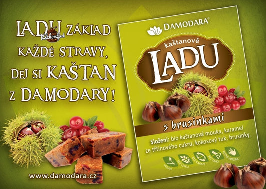 DAMODARA Ladu gaštanové s brusnicami 150g