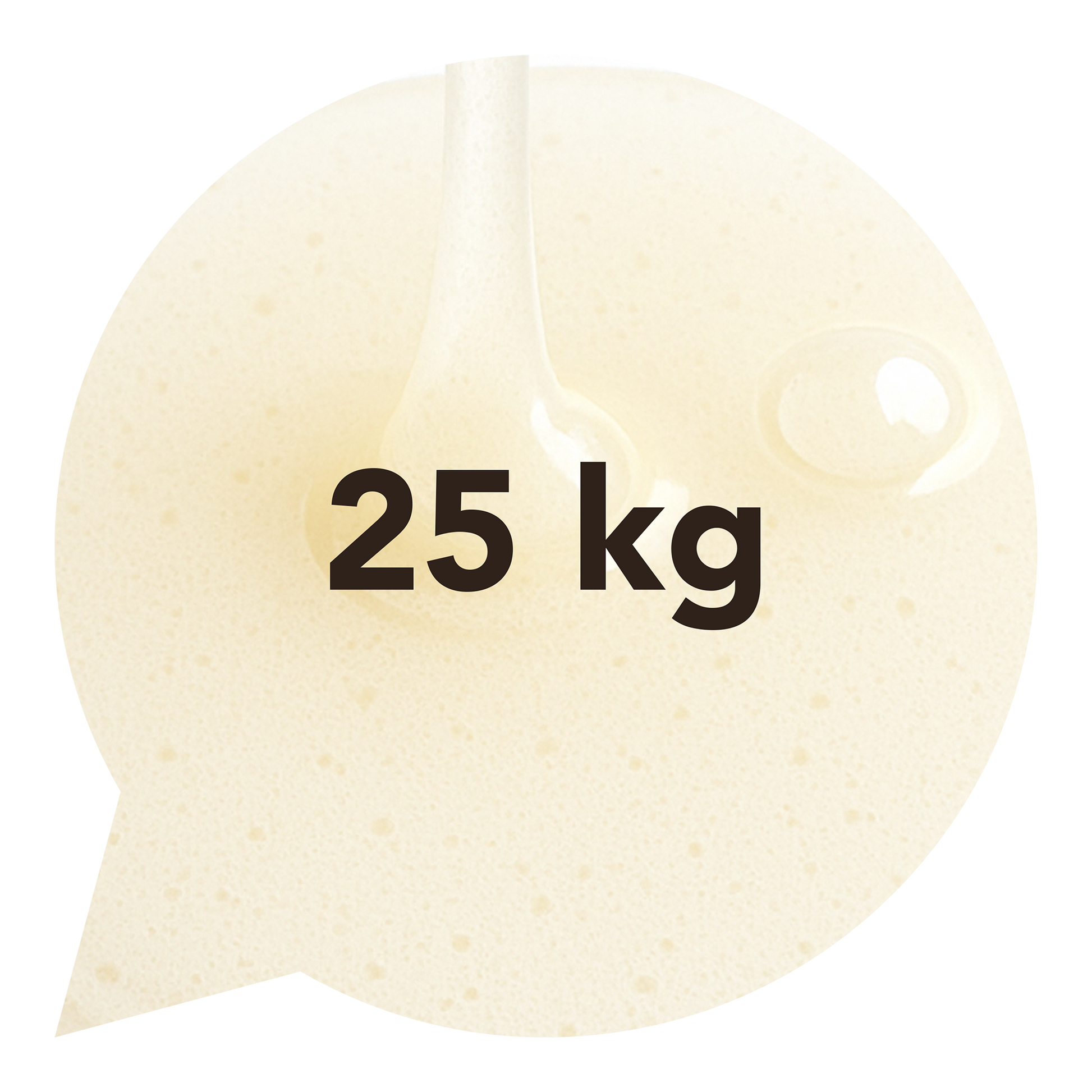 420008 Sirup rýžový 25kg BIO   -1