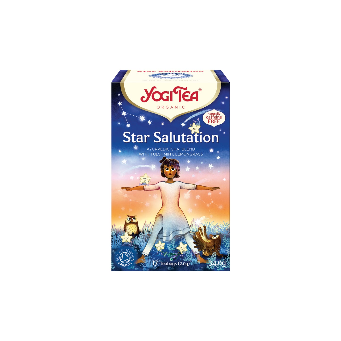 510554 Čaj Pozdrav hvězdám 17 sáčků 32,3 g BIO   YOGI TEA-1
