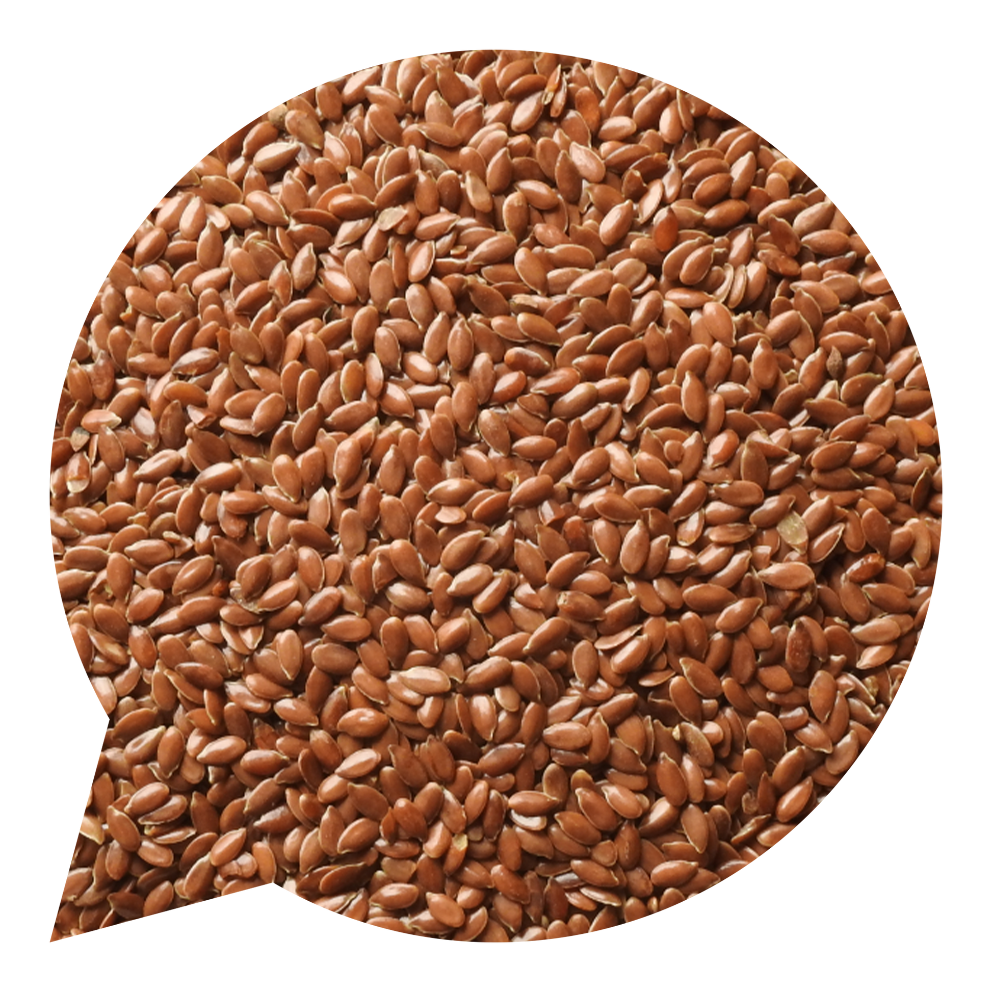 820200 Semínka lněná česká BIO-1