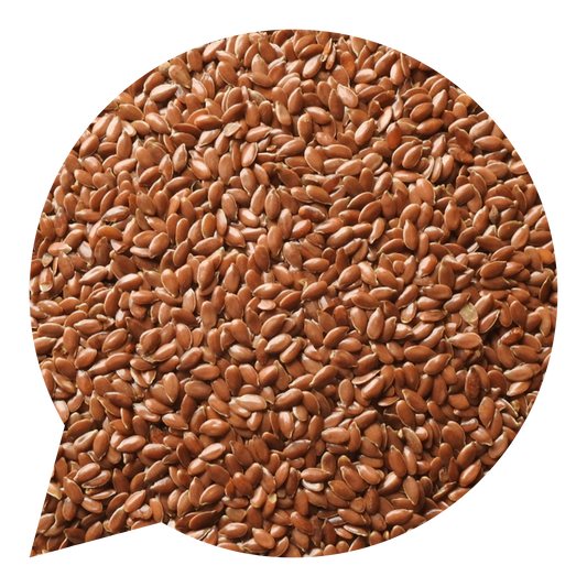 820200 Semínka lněná česká BIO-1